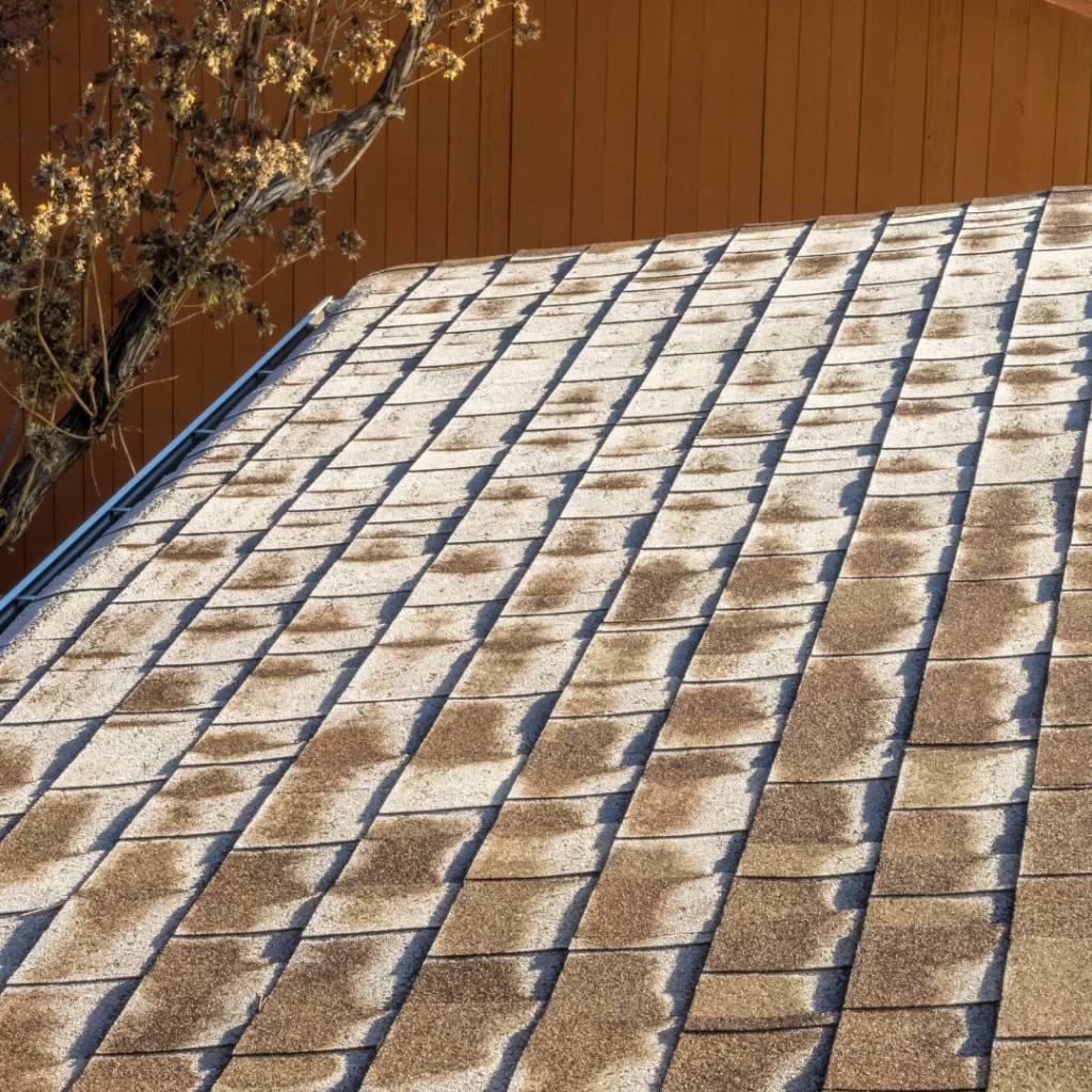 Préparer sa toiture pour l’hiver : les points clés à ne pas négliger