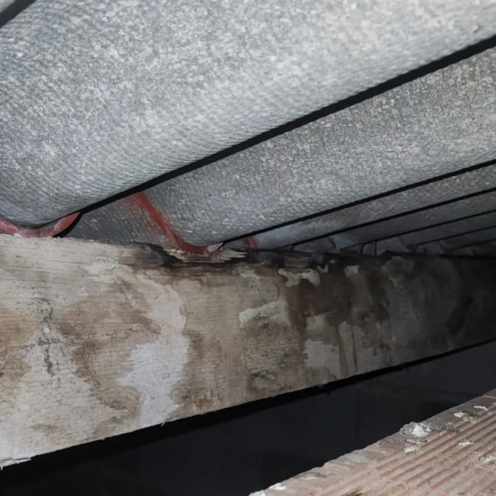 Toiture et infiltrations : que faire en cas de taches d’humidité au plafond ?