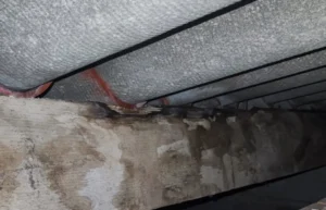 Taches d’humidité : que faire en cas d’infiltration par la toiture ?