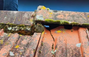Tuiles poreuses : faut-il s’inquiéter avant l’hiver ?