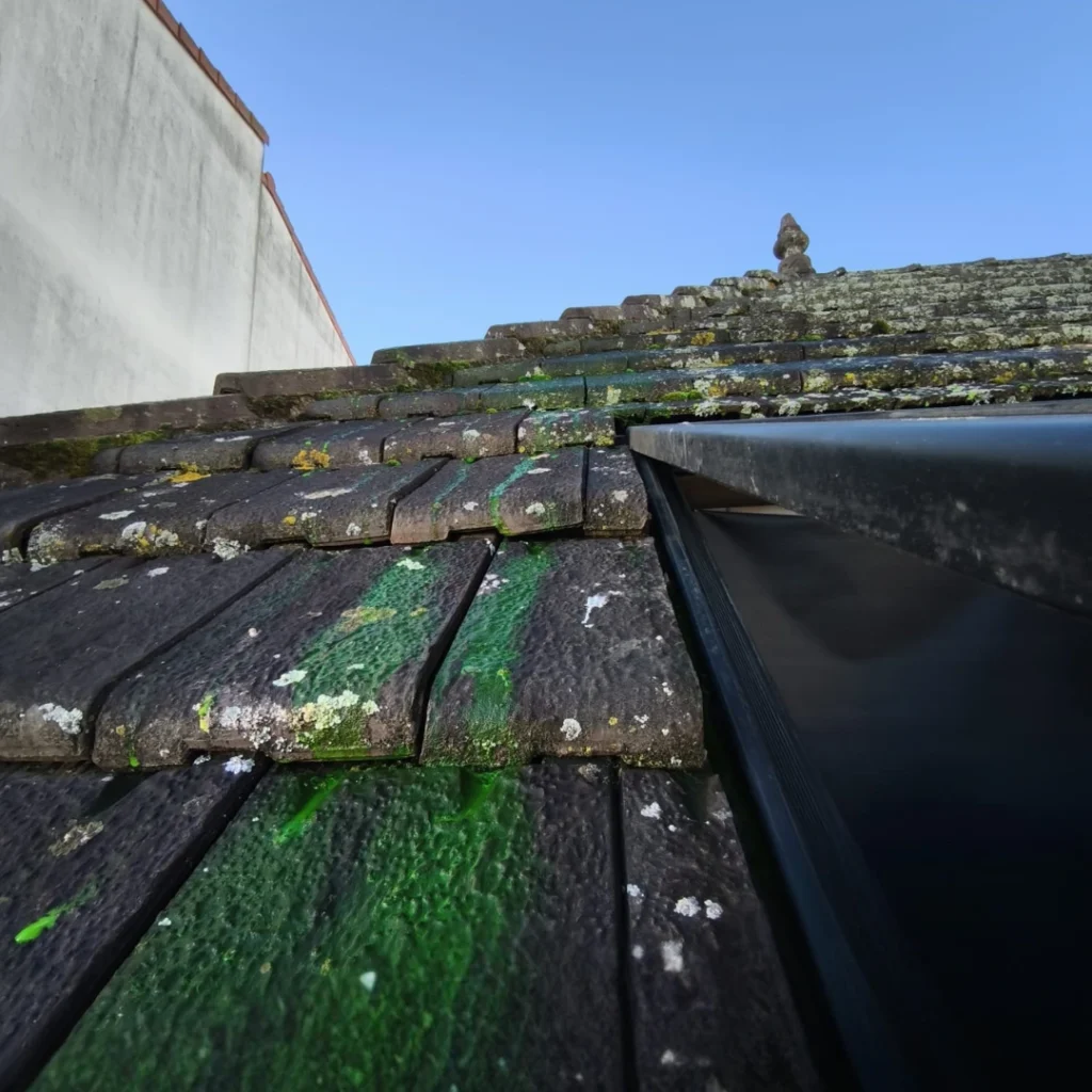 Détection de fuites de toiture : une méthode précise grâce au liquide traceur