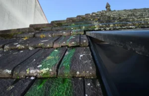 Détection de fuites de toiture : la précision du liquide traceur