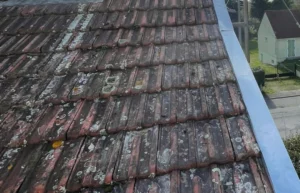 Peut-on faire démousser sa toiture en hiver ?