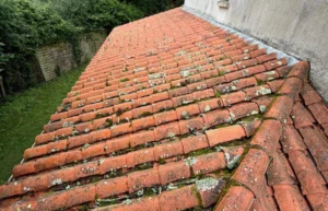 Toiture : faut-il s'inquiéter de la présence de mousse en été ?