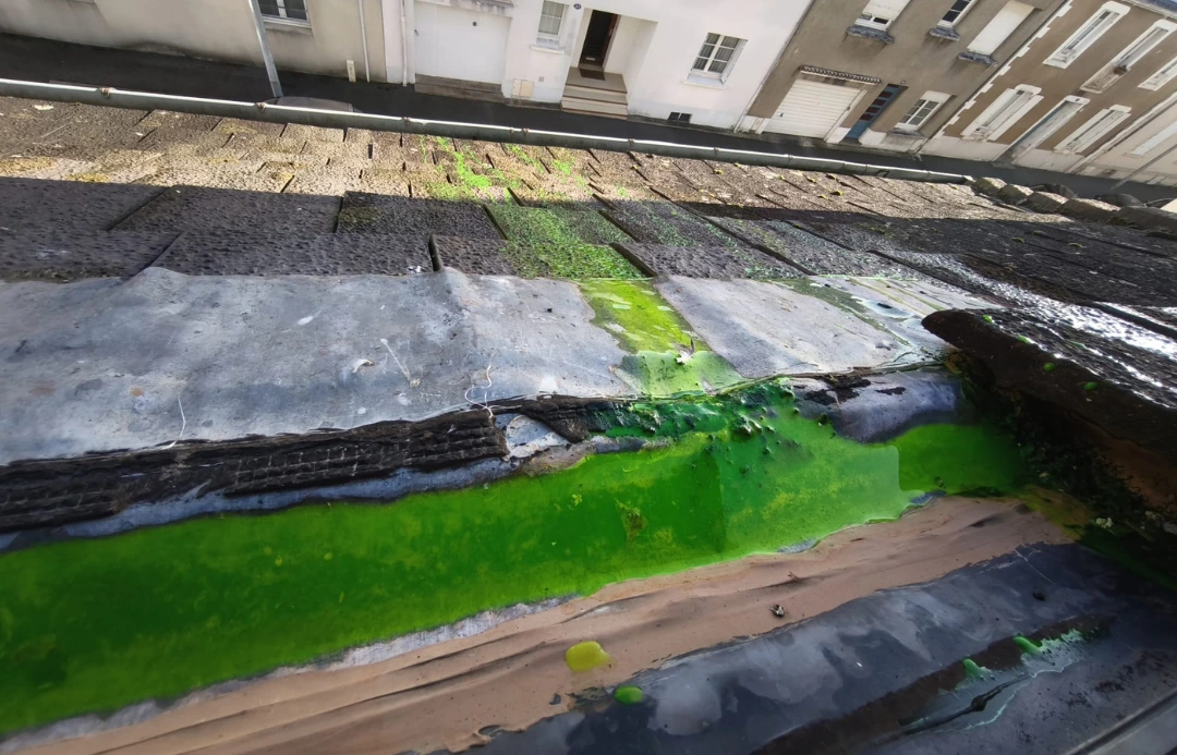 Pourquoi ma toiture fuit-elle alors qu'aucune ardoise n'est cassée ?