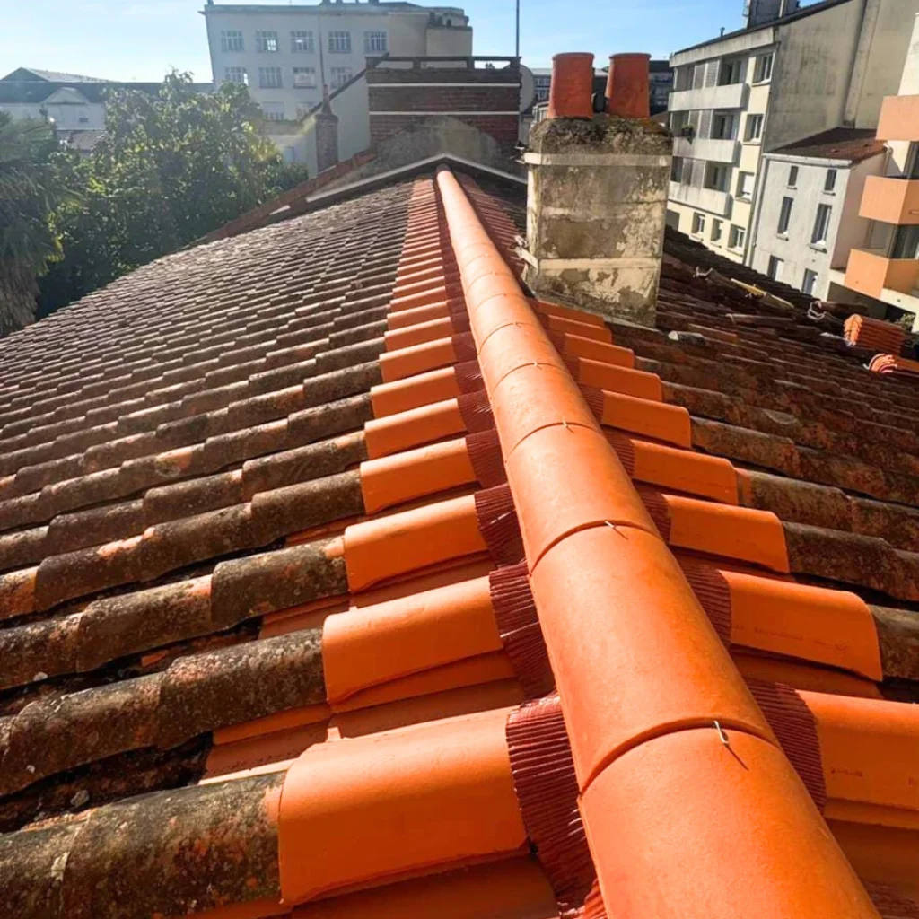 Mes tuiles de toiture changent de couleurs, pourquoi ?